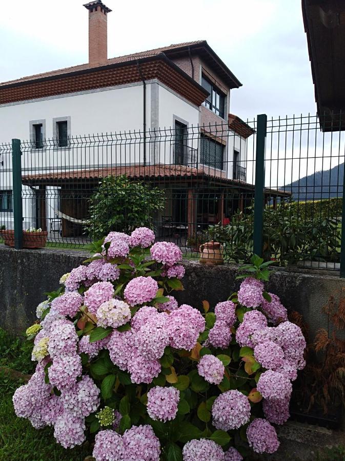 Hotel Reina Adosinda 普拉维亚 外观 照片